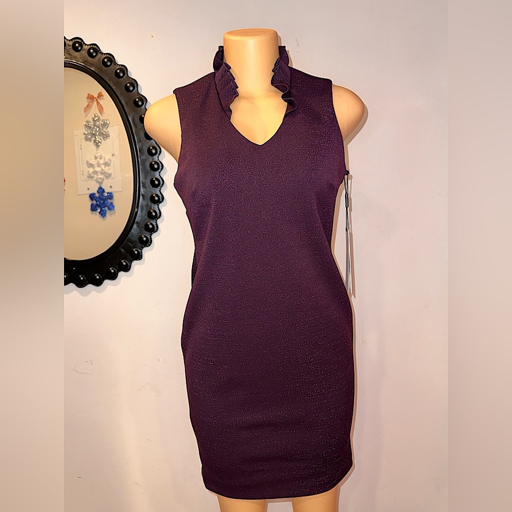 NWT SPARKLY CALVIN KLEIN DRESS SIZE 8P ELEGANT LOOKING WITH NECK SURROUNDING